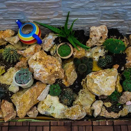 Bed & Breakfast Solemare *