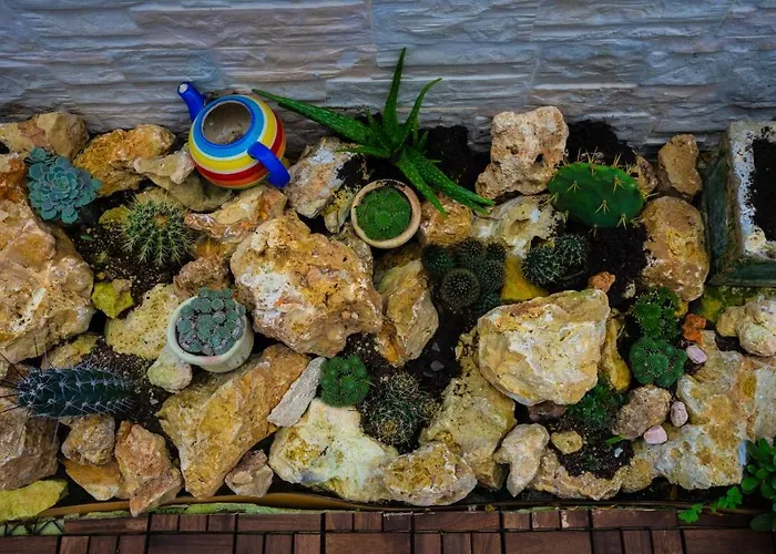 Bed & Breakfast Solemare *